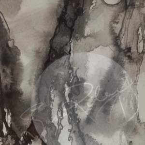 sue gee - Spector - indian ink