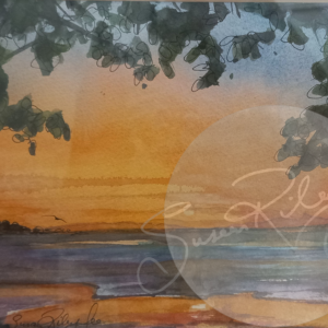 sue gee - shoal pt to cape Hillsborough - indian ink watercolour