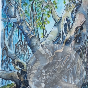 sue gee - jubilee fig - indian ink watercolour