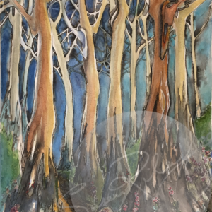 Indian Ink / Watercolour